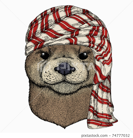 Wild animal wearing keffiyeh or kufiya. Animal head. 74777032