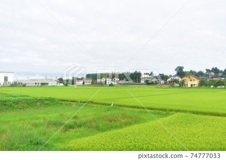 Scenery from the Kesen-Numa Line train window from Maeyachi Station to Yanaizu Station Scenery from the Kesen-Numa Line train window from Maeyachi Station to Yanaizu Station 74777033
