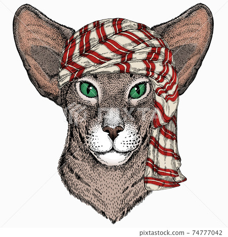Wild animal wearing keffiyeh or kufiya. Animal head. Wild animal wearing keffiyeh or kufiya. Animal head. 74777042