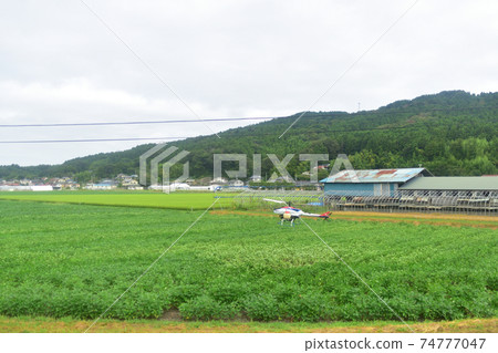 從前山前站到柳津站的Kesen-Numa線火車窗口的風景 從前山前站到柳津站的Kesen-Numa線火車窗口的風景 74777047