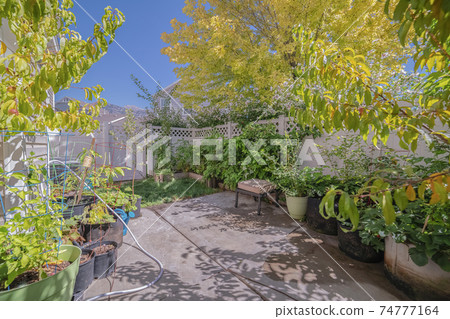 Small private back garden with potted plants 74777164