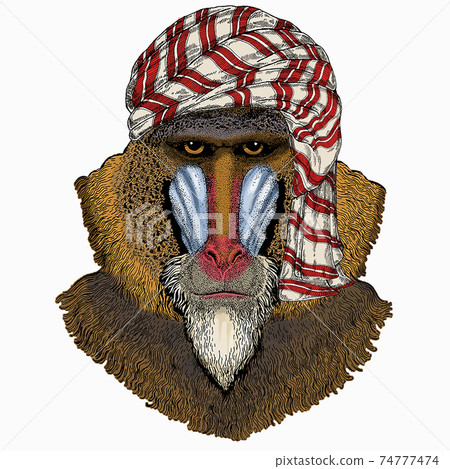 Wild animal wearing keffiyeh or kufiya. Animal head. Wild animal wearing keffiyeh or kufiya. Animal head. 74777474