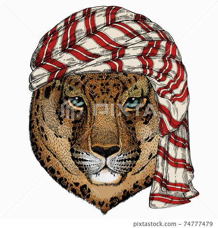 Wild animal wearing keffiyeh or kufiya. Animal head. Wild animal wearing keffiyeh or kufiya. Animal head. 74777479