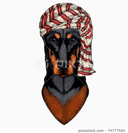 Wild animal wearing keffiyeh or kufiya. Animal head. Wild animal wearing keffiyeh or kufiya. Animal head. 74777484