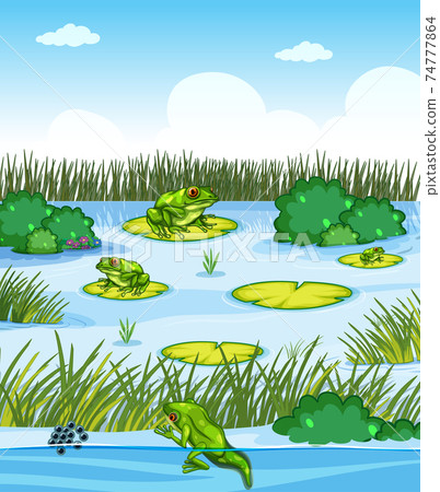 Pond scene with many frogs and plants element - Stock Illustration ...