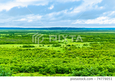 北海道Ku路市Ku路濕地天文台的景色 74778051