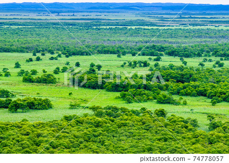 北海道Ku路市Ku路濕地天文台的景色 北海道Ku路市Ku路濕地天文台的景色 74778057