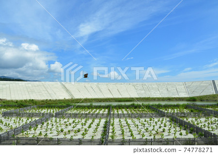 Scenery from the Kesennuma Line BRT train window from Yanaizu Station to Kesennuma Station 74778271