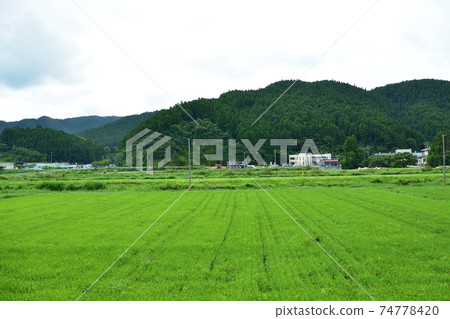 Scenery from the Kesennuma Line BRT train window from Yanaizu Station to Kesennuma Station Scenery from the Kesennuma Line BRT train window from Yanaizu Station to Kesennuma Station 74778420