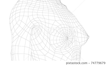 Wireframe female breast. Close-up view Wireframe female breast. Close-up view 74779679