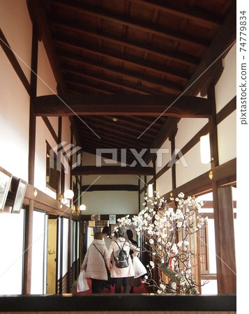 Osaka Temmangu, Plum Festival, Plum Blossoms, Pine, Bonsai, Bonbai, Shigeitei, Examination, Ema 74779834