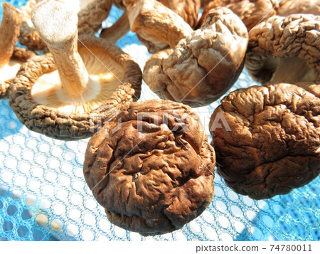 Dried shiitake mushrooms Dried shiitake mushrooms 74780011
