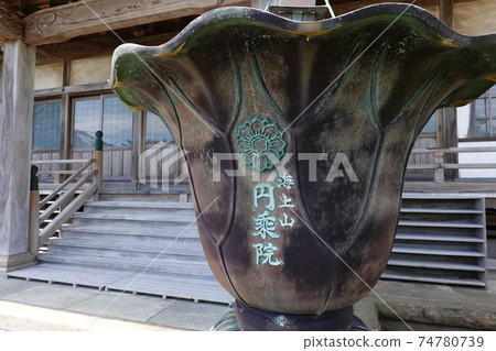 Yen boarding hospital 74780739