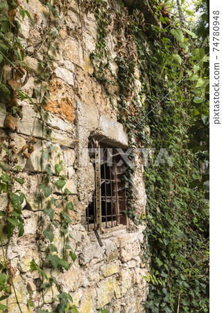 The wall of an abandoned building overgrown with plants and a window with bars and cobwebs The wall of an abandoned building overgrown with plants and a window with bars and cobwebs 74780948