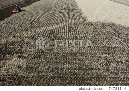 Winter rice field soil making Winter rice field soil making 74781144