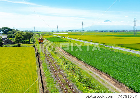 [青森縣筑波地區]津輕市的稻田和磐城山 74781517
