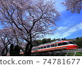 Cherry blossom trees and Odakyu Romance Car 7000 74781677
