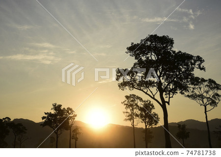 Grass field sunset Beautiful landscape with grasses meadow on sunlight. Countryside heaven amazing Grass field sunset Beautiful landscape with grasses meadow on sunlight. Countryside heaven amazing 74781738