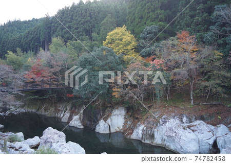 Yamakuni Town, Nakatsu City, Oita Prefecture White strange rocks and autumn leaves in Sarutobi Senbokyo 74782458