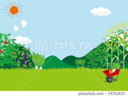 Field landscape illustration 74782633