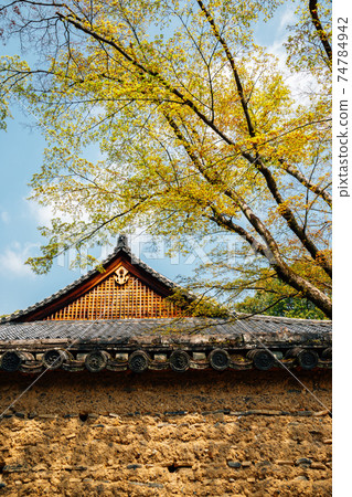 Toshodaiji temple and green tree in Nara, Japan Toshodaiji temple and green tree in Nara, Japan 74784942