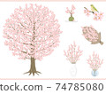 Various cherry blossoms_spring (cherry blossoms_06) 74785080