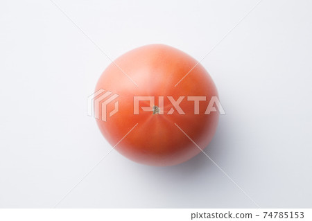 Tomato Tomato 74785153