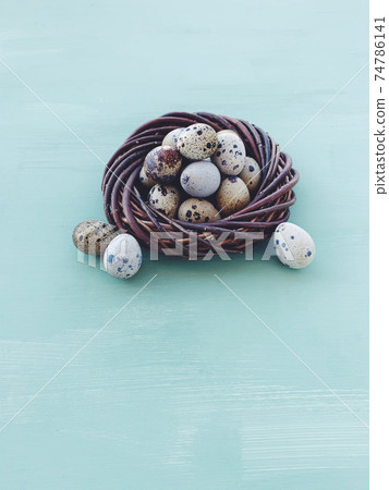 Quail eggs in bird nest on light blue background. Quail eggs in bird nest on light blue background. 74786141