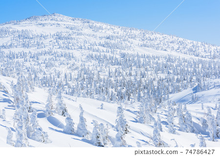 Japan's three major rime trees, Moriyoshiyama 74786427