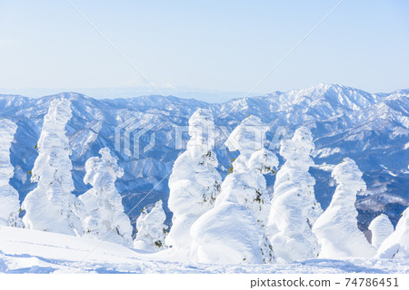 日本的三大霧rim樹森吉山 74786451