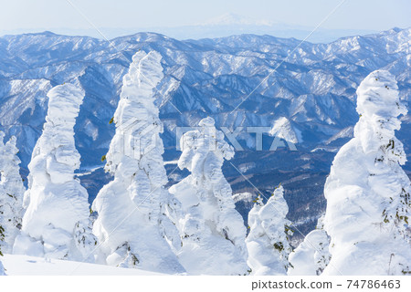 日本的三大霧rim樹森吉山 74786463