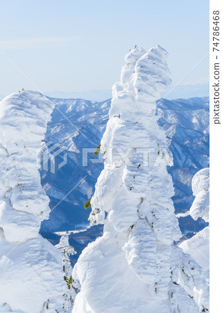 日本的三大霧rim樹森吉山 74786468