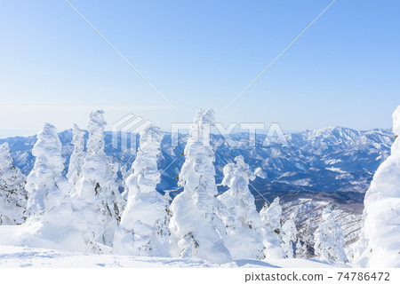 日本的三大霧rim樹森吉山 日本的三大霧rim樹森吉山 74786472