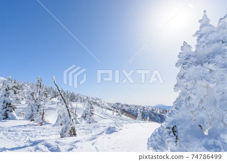 日本的三大霧rim樹森吉山 74786499