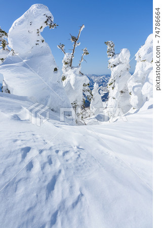 日本的三大霧rim樹森吉山 日本的三大霧rim樹森吉山 74786664