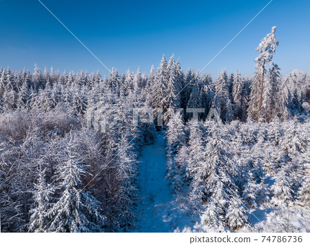 Aerial top down view of beautiful winter forest treetops. Aerial top down view of beautiful winter forest treetops. 74786736