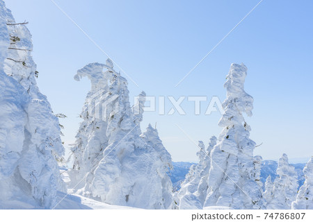 日本的三大霧rim樹森吉山 日本的三大霧rim樹森吉山 74786807