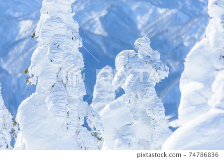 日本的三大霧rim樹森吉山 74786836