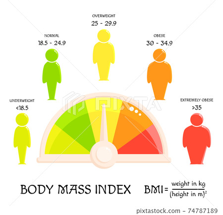 BMI concept. Body shapes from underweight to... - Stock Illustration ...