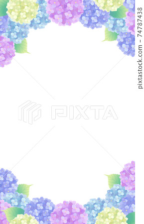 在六月的雨季（垂直）的七彩繡球矢量插圖框架 74787438