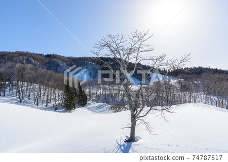 雪域 雪域 74787817