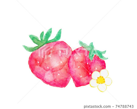 草莓 74788743