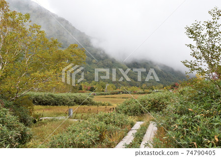 Hakuba Hakuba 74790405