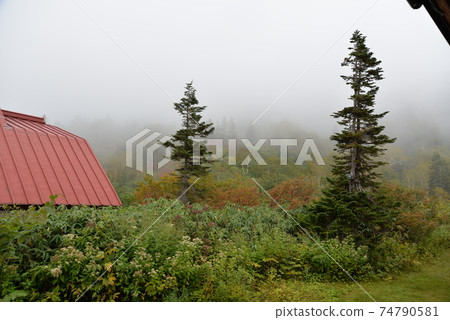 Hakuba 74790581