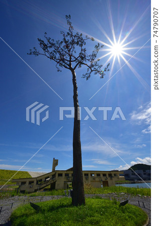 Scenery of Rikuzentakata City in the summer of 2020 Scenery of Rikuzentakata City in the summer of 2020 74790707