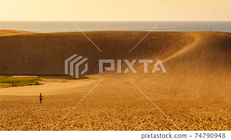 Tottori Sand Dunes (evening view) Tottori Sand Dunes (evening view) 74790948