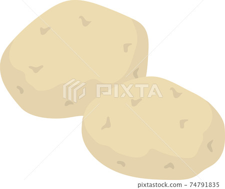 potato potato 74791835