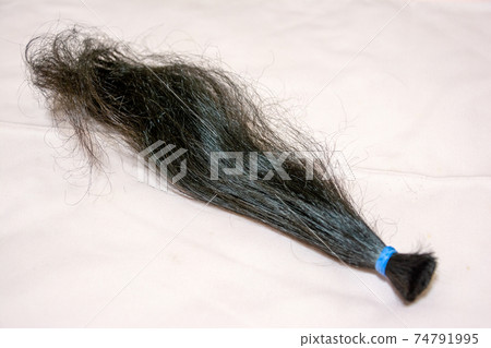 Hair cut for hair donation. - Stock Photo [74791995] - PIXTA