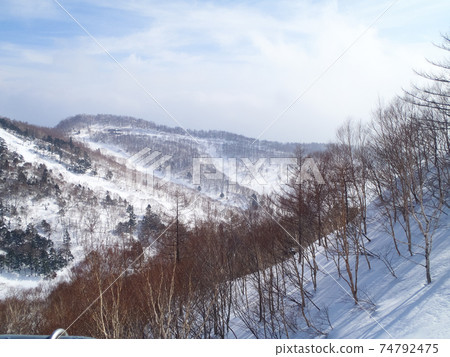 View snow-covered mountains and forests from the ski resort (Kawaba Ski Resort, Gunma Prefecture) 74792475