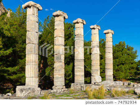 Athena temple in Priene, Turkey. 74792934